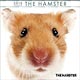 (ミニ)THE HAMSTER 2018年カレンダー