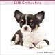 (ミニ)チワワ 2018年カレンダー