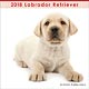 (ミニ)ラブラドール・レトリーバー 2018年カレンダー