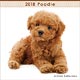 (ミニ)プードル 2018年カレンダー