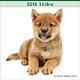 (ミニ)柴 2018年カレンダー