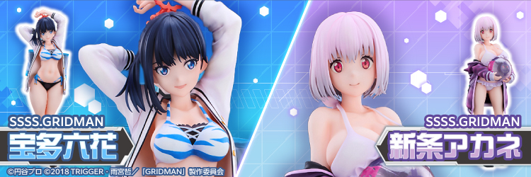 https://img.amiami.jp/images/b/large/gridrikkaakanejp.jpg