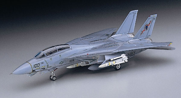 1/72 F-14A トムキャット（ロービジ） プラモデル[ハセガワ]