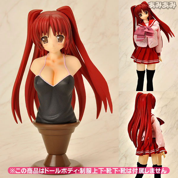 レジーニャ！ ポートレートコレクション ToHeart2 向坂環 GEE！限定版 