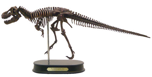 ダイナソー スケルトンモデル ティラノサウルス 単品（再販 