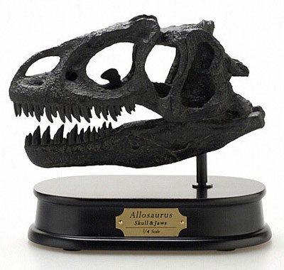 フェバリットコレクション アロサウルス 1/15 スケルトンモデル 恐竜 FAVORITE COLLECTION (ファボリットコレクション) フィギュア