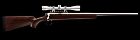 ボルトアクションエアーライフル プロハンター ステンレス ウッド