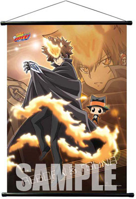 TVアニメーション 家庭教師ヒットマンREBORN！ B2タペストリー Ver.2