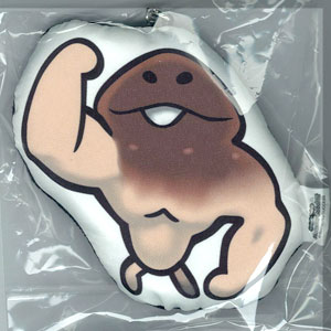 おさわり探偵栽培キットなめこ　ぬいぐるみ　ストラップ　マスコット　マッスル Amazon.co.jp: おさわり探偵なめこ栽培キット ぬいぐるみ