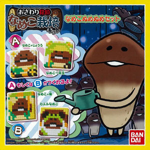 オリケシ専用 キャラクターシリーズ おさわり探偵なめこ栽培キット