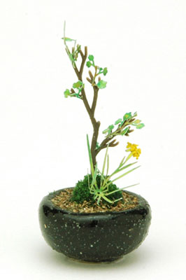 【中古】盆栽ミニチュア THE BONSAI 丸鉢寄せ植え 黒[プラッツ]