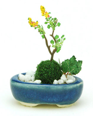 【中古】盆栽ミニチュア THE BONSAI 小判寄せ植え 紺[プラッツ]