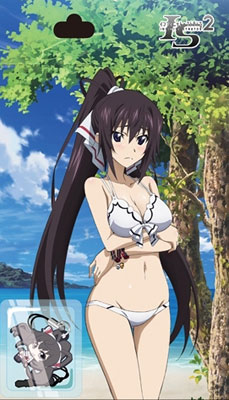 IS〈インフィニット・ストラトス〉2 おみや便り 篠ノ之箒[サンエス]《在庫切れ》