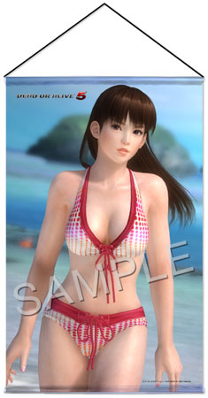 DEAD OR ALIVE 5 B2タペストリー レイファン[ホビーストック