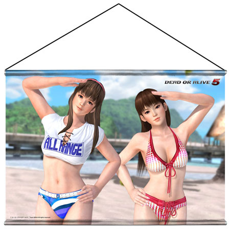 DEAD OR ALIVE 5 Ultimate：ARCADE B2タペストリー ヒトミ＆レイファン