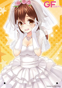 ガールフレンド（仮）【俺の嫁アクリルボード（B5）】掛井園美（特典：HR以上確定SR20％キュピチケ 付）[ファミマ・ドット・コム]《在庫切れ》