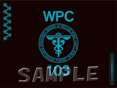 PSYCHO-PASS サイコパス2 プレースマット 宜野座伸元 六合塚弥生