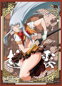 キャラクタースリーブ 一騎当千 Extravaganza Epoch 趙雲子龍