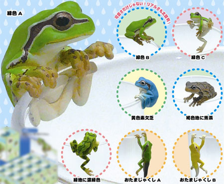 綺譚クラブ　アマガエル　奇譚クラブ PUTITTOアマガエル 12個入りBOX[奇譚クラブ]《在庫切れ》