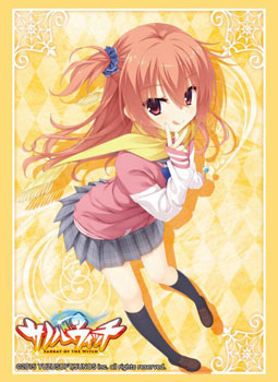 Amazon.co.jp: ブシロードスリーブコレクションHG Vol.849