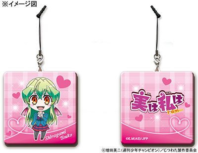 実は私は メガモバイルクリーナー 白神葉子 Gate 在庫切れ