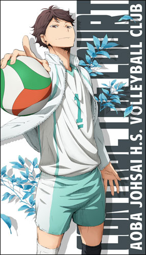 ハイキュー セカンドシーズン 及川徹ビッグタオル コスパ 在庫切れ