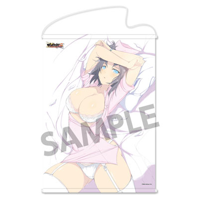 閃乱カグラ NewWave Gバースト B2タペストリー 雪泉[ホビーストック]《在庫切れ》