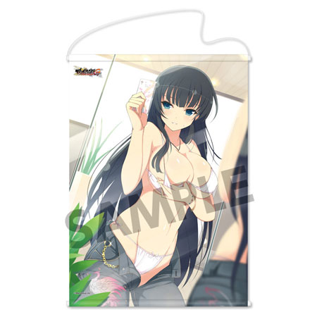 閃乱カグラ NewWave Gバースト B2タペストリー 斑鳩[ホビーストック]《在庫切れ》