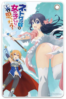 『ネトゲの嫁は女の子じゃないと思った？』 スリムソフトパスケース シュヴァイン＆アコ[キャラモード]《在庫切れ》