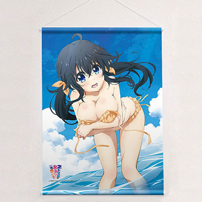 ネトゲの嫁は女の子じゃないと思った？ B2タペストリー(亜子)[カーテン魂]《在庫切れ》