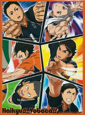 タカラトミーキャラカードプロテクトコレクション ハイキュー