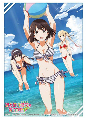 Amazon.co.jp: ブシロードスリーブコレクション ハイグレード