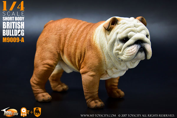 ブルドック様 1/4 ショートボディ ブリティッシュ ブルドッグ A[Toyscity