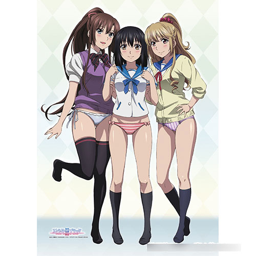 ストライク・ザ・ブラッド B1タペストリー(雪菜＆浅葱＆紗矢華/制服 