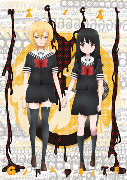 魔法少女サイト DVD 全6巻　全巻セット DVD 魔法少女サイト 第6巻 初回限定版[NBC]《在庫切れ》