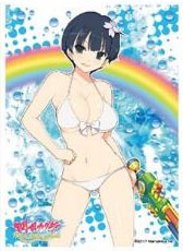 キャラクタースリーブ 閃乱カグラ PEACH BEACH SPLASH 夜桜B(EN-601) パック[エンスカイ]《在庫切れ》