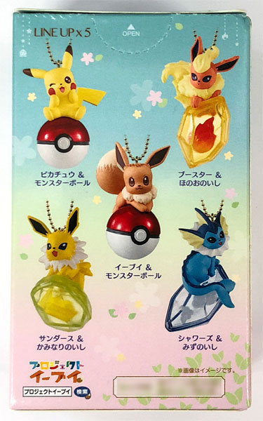 Twinkle Dolly Pokemon 全5種セット(キャンディオンラインショップ限定)