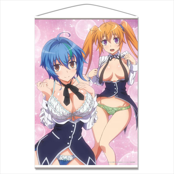 プレシャスメモリーズ　ハイスクールdd ゼノヴィア　ロスヴァイセ　イリナ　ホロ N ロスヴァイセ 販売 | ハイスクールD×D HERO | プレシャス