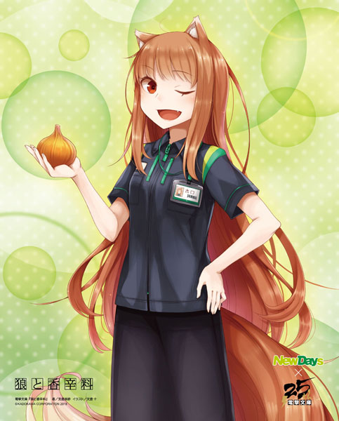 電撃文庫25周年 キャンバスパネル NewDays制服 狼と香辛料（再販