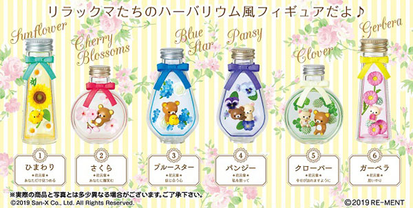 サンエックス リラックマ FLOWER BOTTLE 6個入りBOX[リーメント