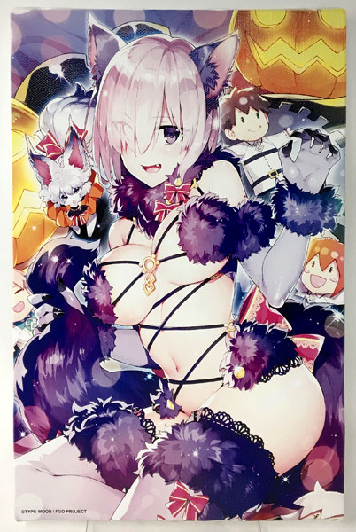 デンジャラスビースト PSA10 デンジャラス・ビースト マシュ 概念礼装