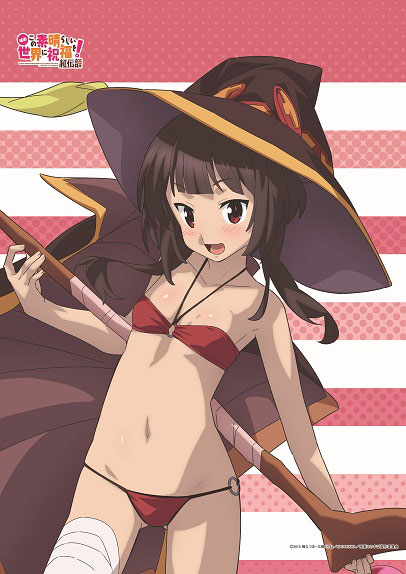 この素晴らしい世界に祝福を！ 描き下ろし めぐみん B2タペストリー 