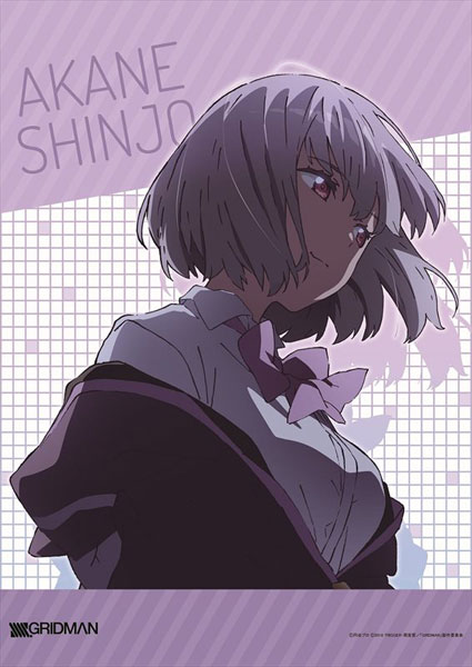 SSSS.GRIDMAN アカネ B2タペストリー[エムズファクトリー]《在庫切れ》