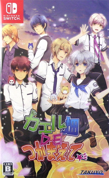 Nintendo Switch カエル畑DEつかまえて☆彡[拓洋興業／TAKUYO]【送料