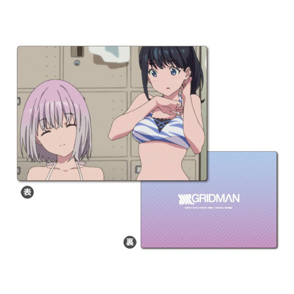 SSSS.GRIDMAN B5サイズ下じき 宝多六花＆新条アカネ/水着