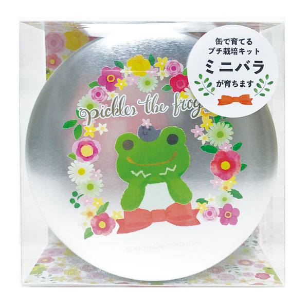 かえるのピクルス Little Garden 缶入り栽培キット Flower Parade ミニバラ エーワークス 在庫切れ