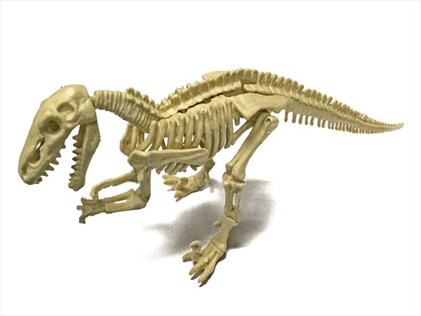 恐竜化石発掘モデル ディノニクス プラモデル モノクローム 在庫切れ