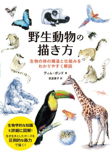 野生動物の描き方 筋肉や骨格など生物的な共通点 相違点がよくわかる 書籍 ホビージャパン 在庫切れ