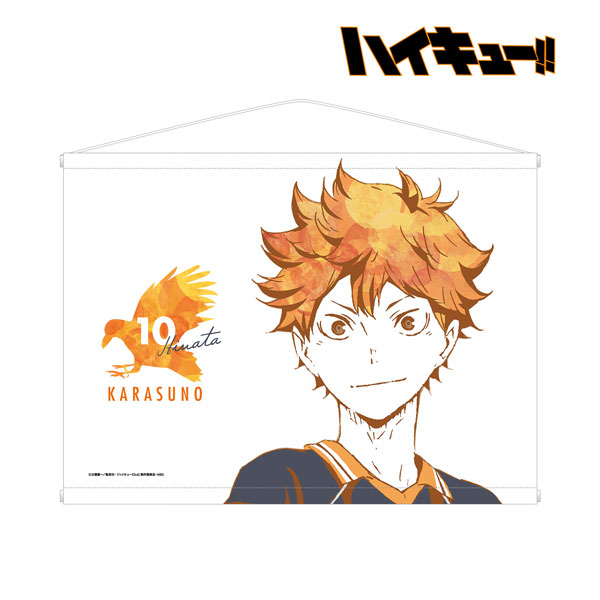 ハイキュー 日向翔陽 影山飛雄 aniart タペストリー Amazon.co.jp: タペストリー 日向翔陽 影山飛雄 ハイキュー
