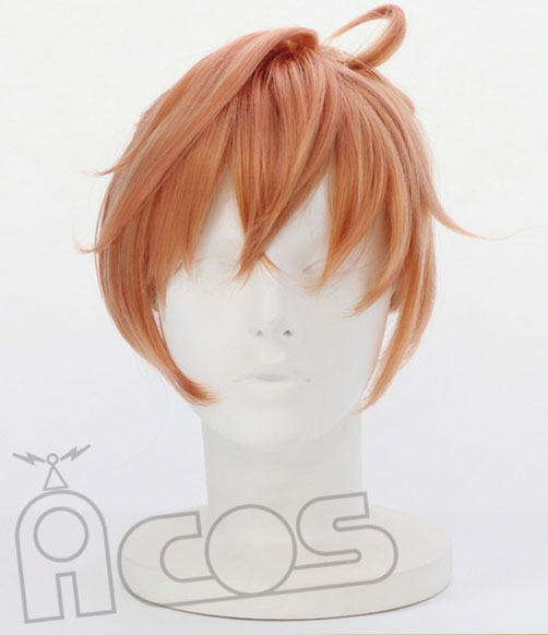 Fate/Grand Order -絶対魔獣戦線バビロニア- キャラクターウィッグ ロマニ・アーキマン[ACOS]《在庫切れ》